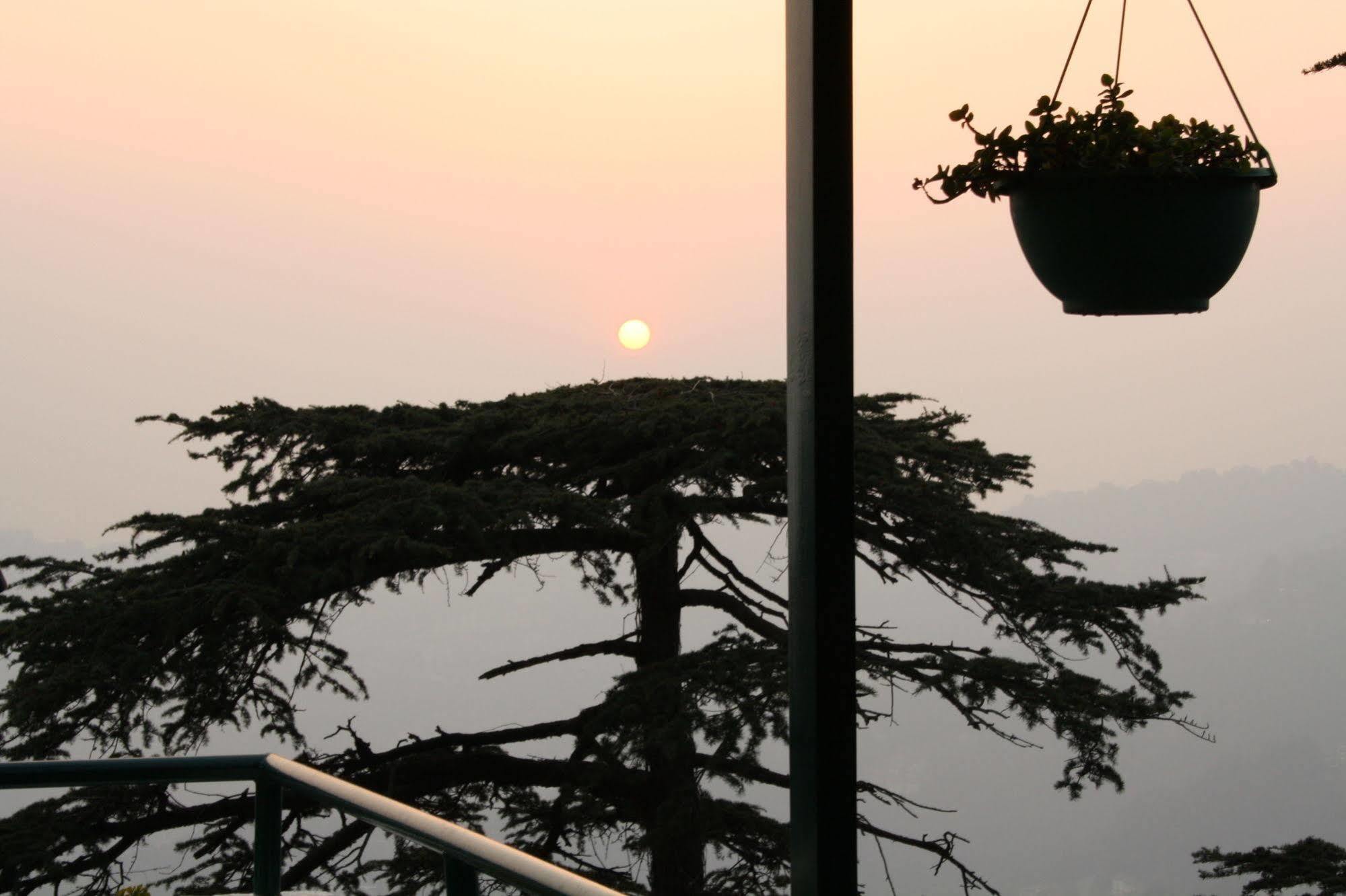 Honeymoon Inn Σίμλα Εξωτερικό φωτογραφία